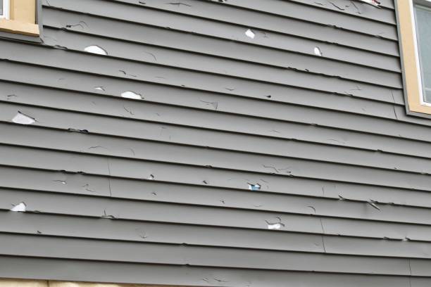 Best Aluminum Siding Installation  in Lake Riverside, CA