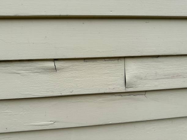 Best Insulated Siding Installation  in Lake Riverside, CA